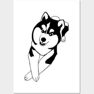 Pomsky puppy Posters and Art